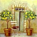 063 Lemons,  Oranges - 3-ply - Atelier